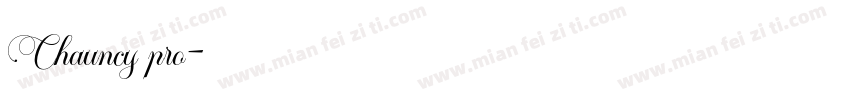 Chauncy pro字体转换